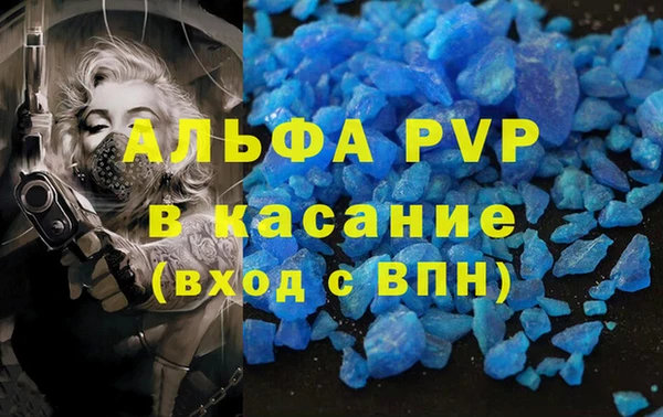 прущие грибы Белокуриха