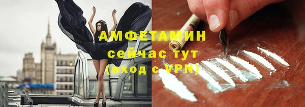 индика Балабаново