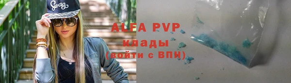прущие грибы Белокуриха