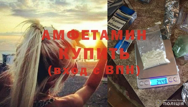 прущие грибы Белокуриха