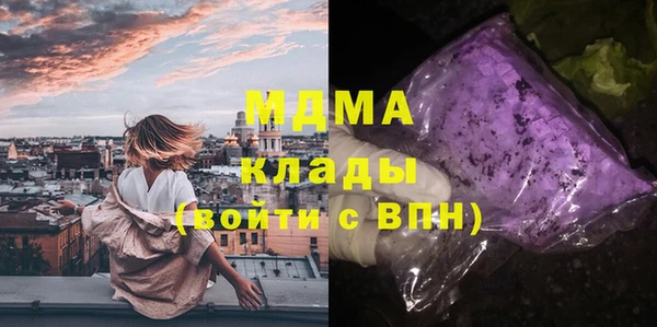 прущие грибы Белокуриха
