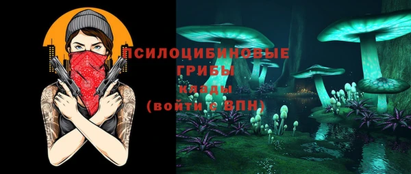 прущие грибы Белокуриха