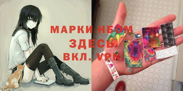 индика Балабаново