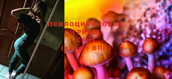 PSILOCYBIN Беломорск