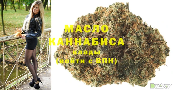 индика Балабаново